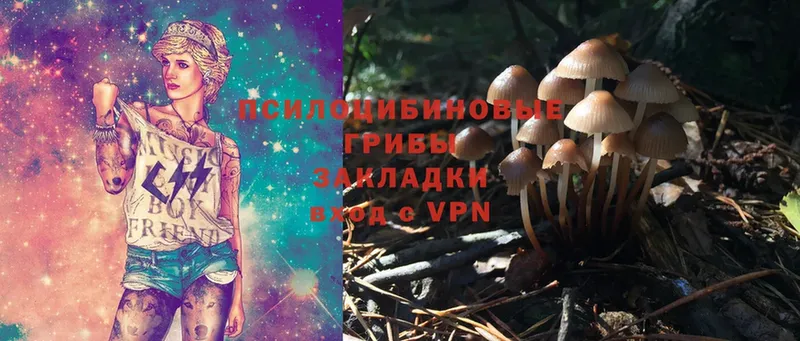 Псилоцибиновые грибы Magic Shrooms  мориарти клад  Нижнекамск 